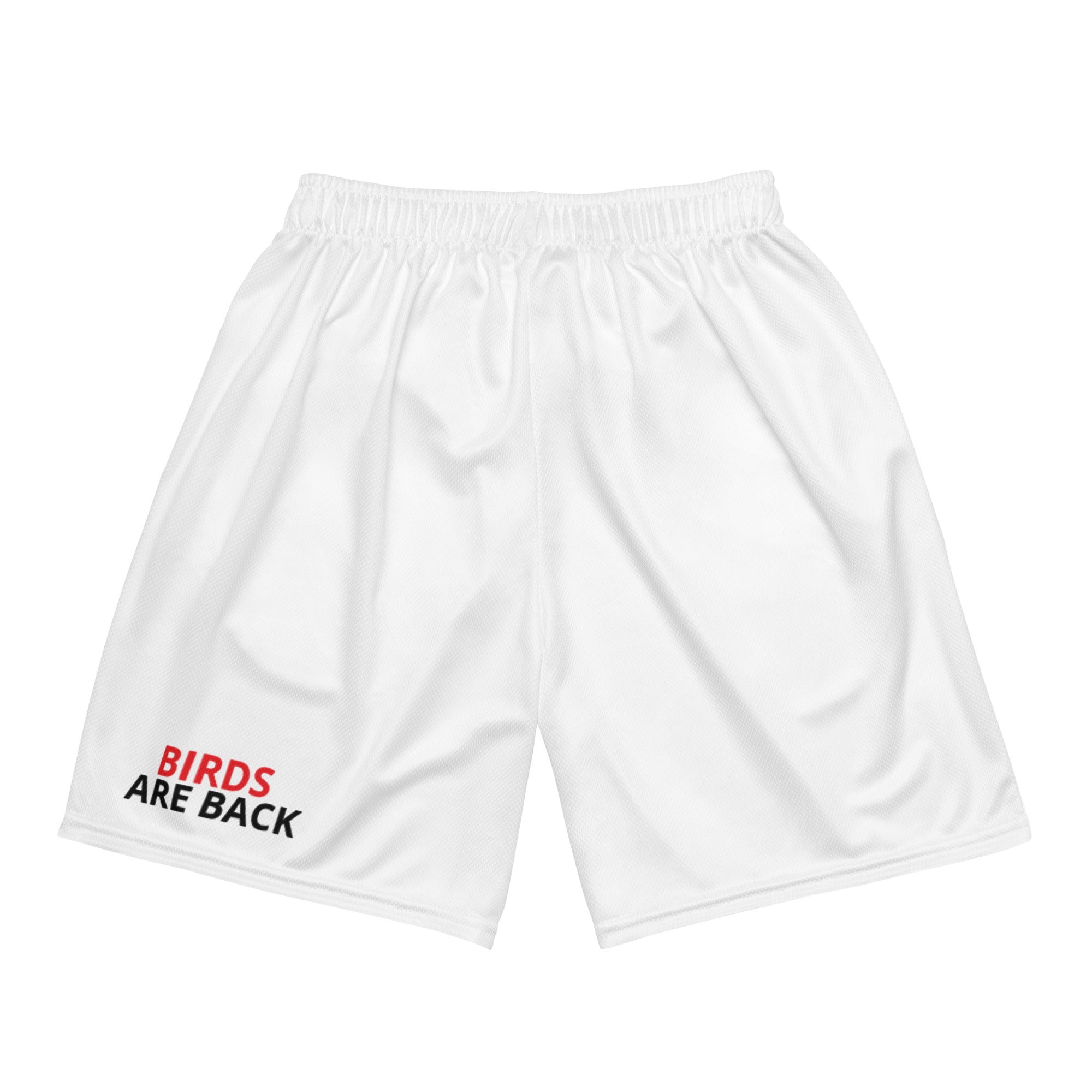 Dirty Birds Unisex mesh shorts