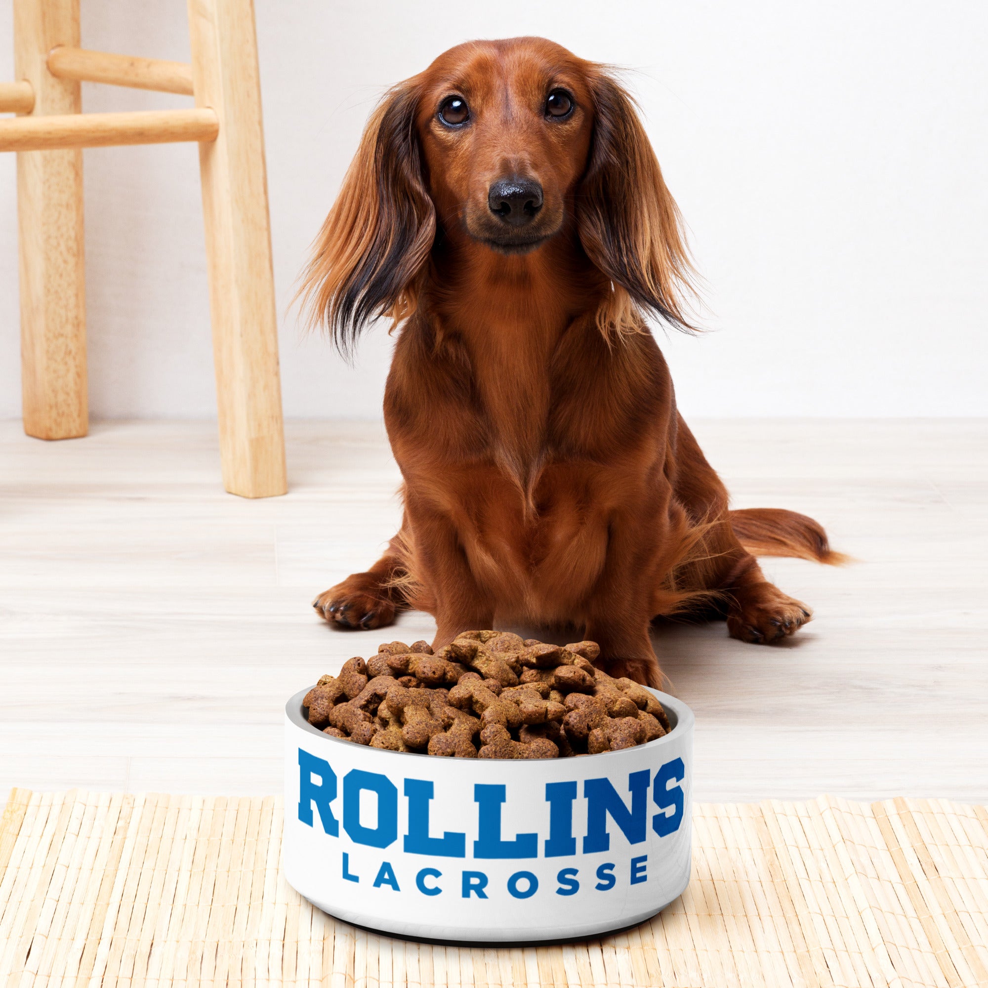 Rollins Pet bowl