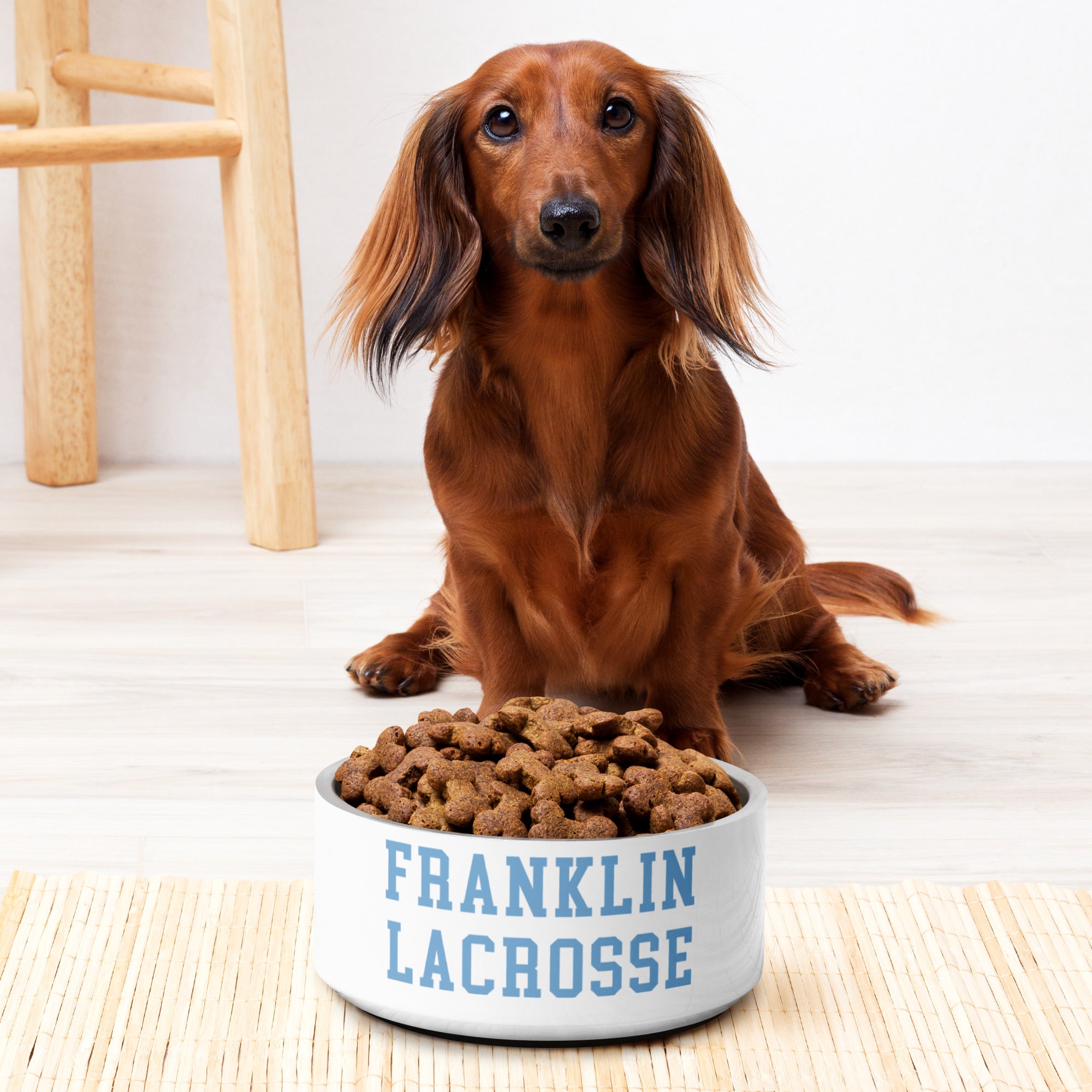 Franklin Pet bowl