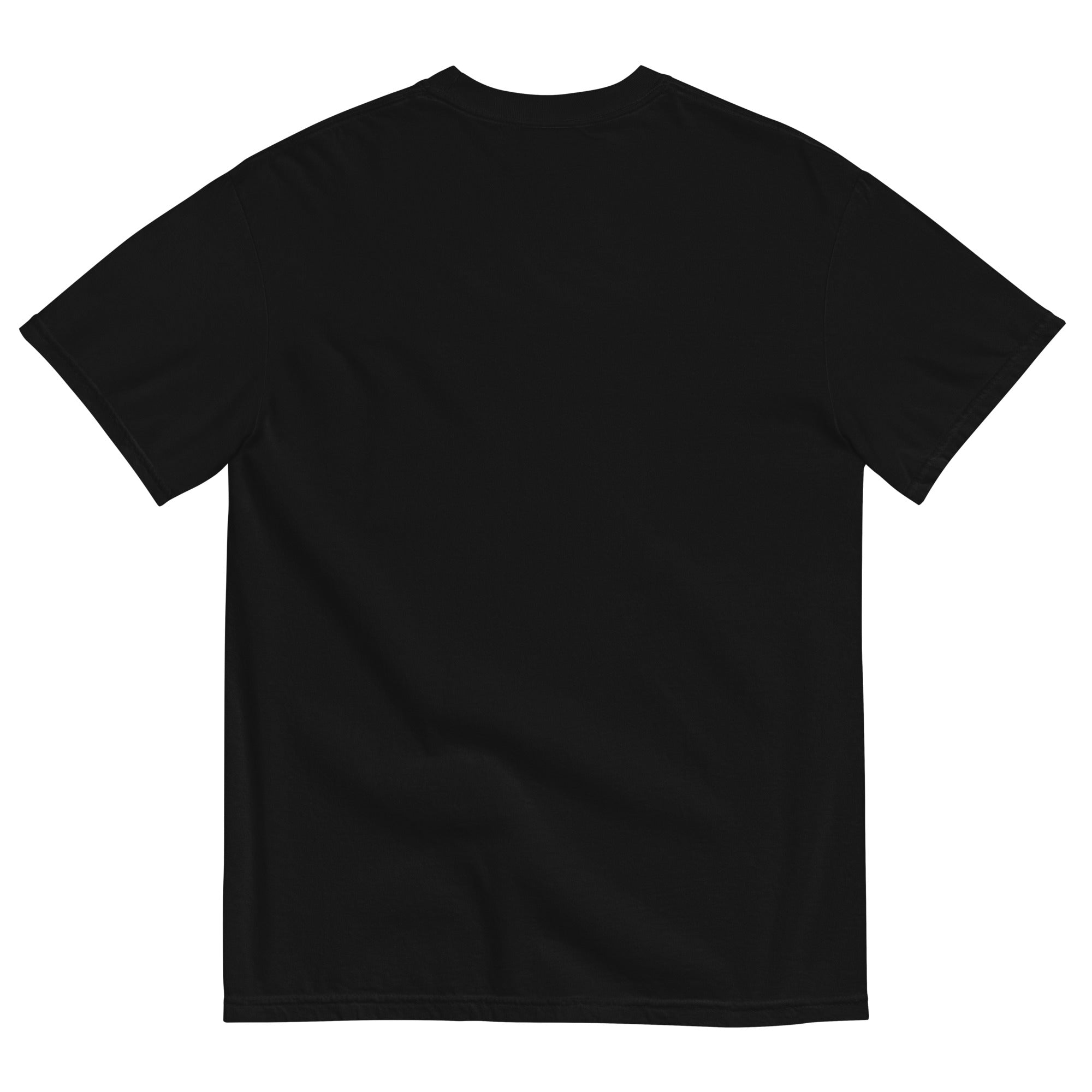 5P Unisex Heavyweight T-shirt