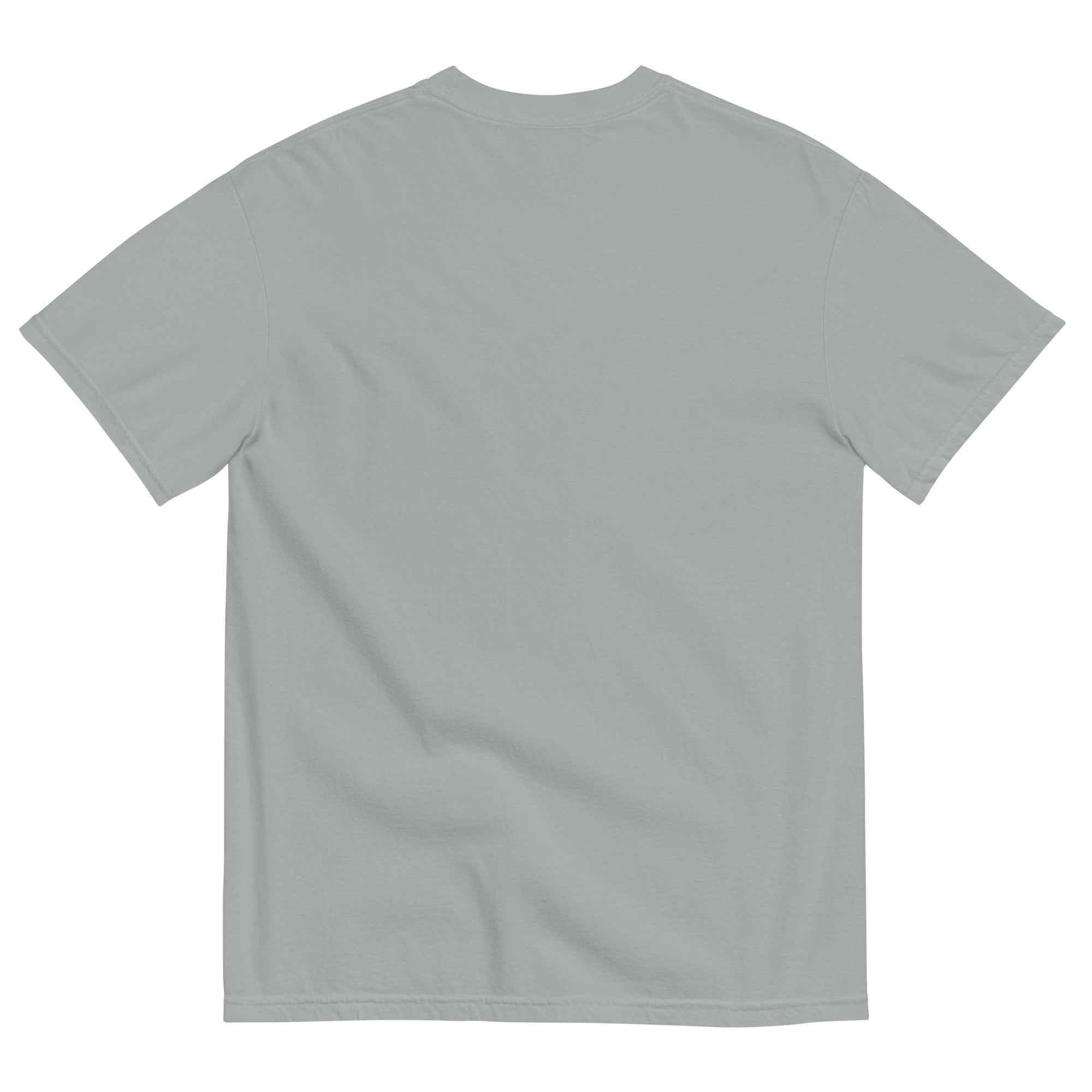 Desert Ridge Unisex garment-dyed t-shirt