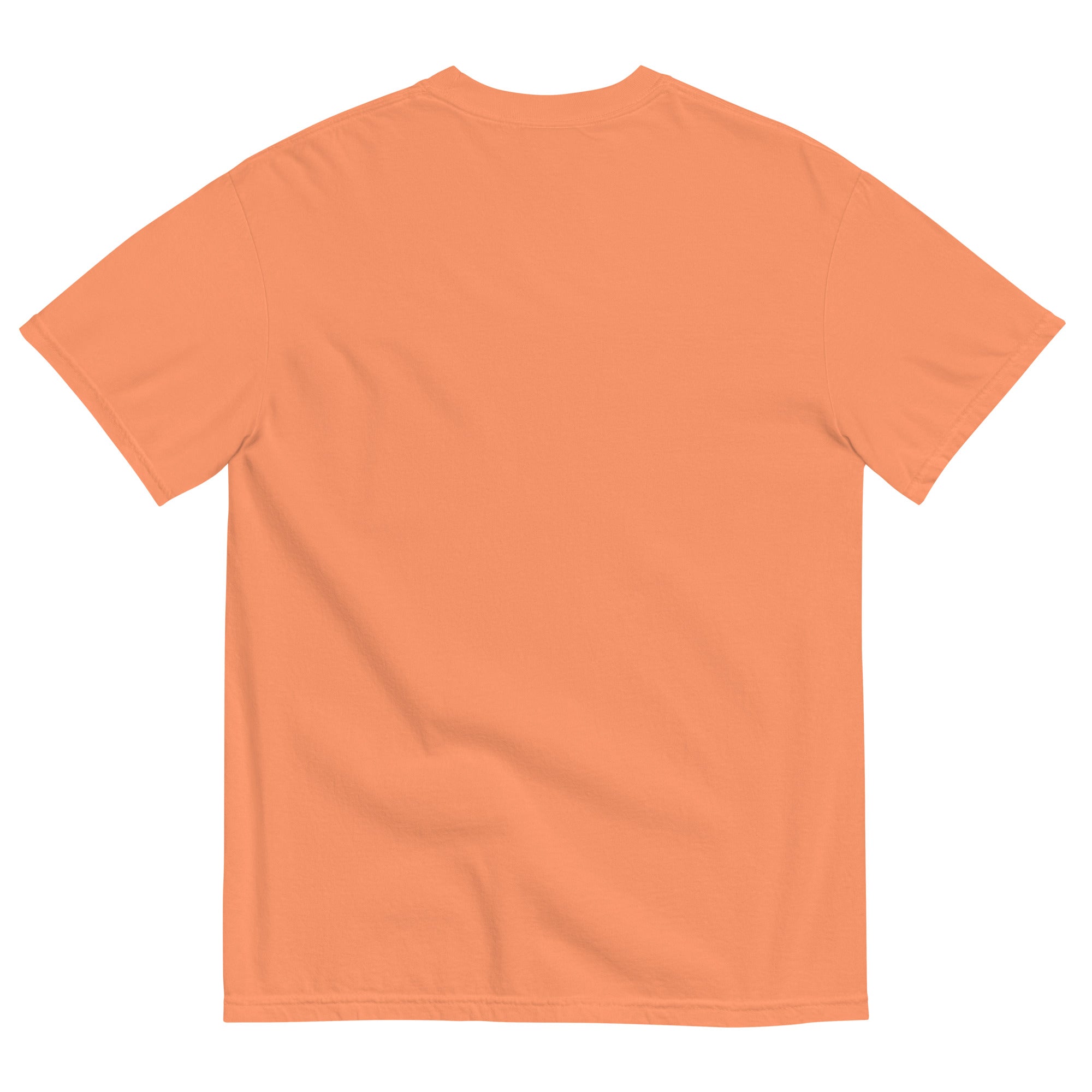 Valley Select Unisex garment-dyed t-shirt