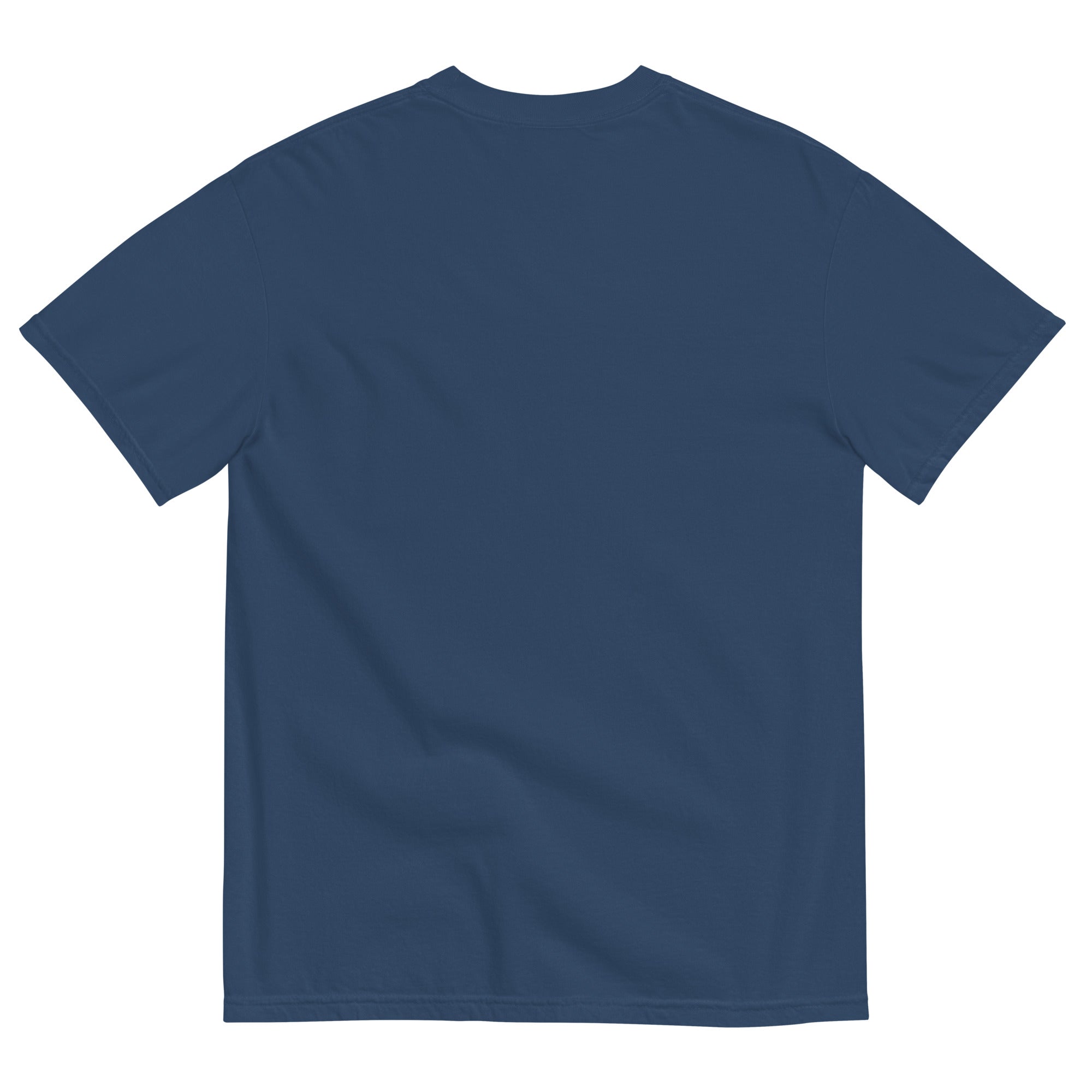 North Paulding Unisex garment-dyed t-shirt